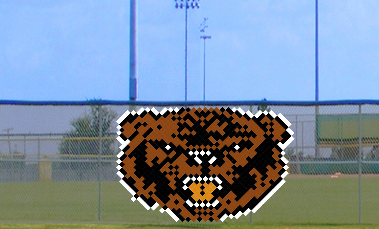 6' x 8' Bear Head