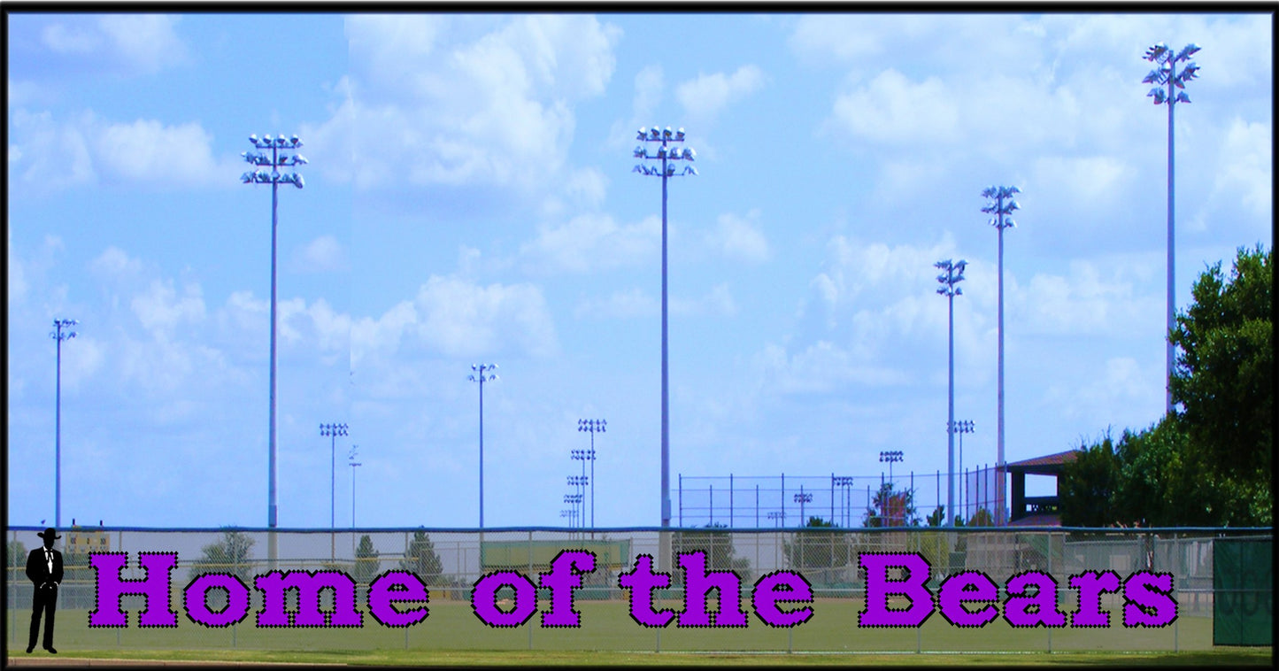 5' x 58' Home of the Bears - 2 Colors