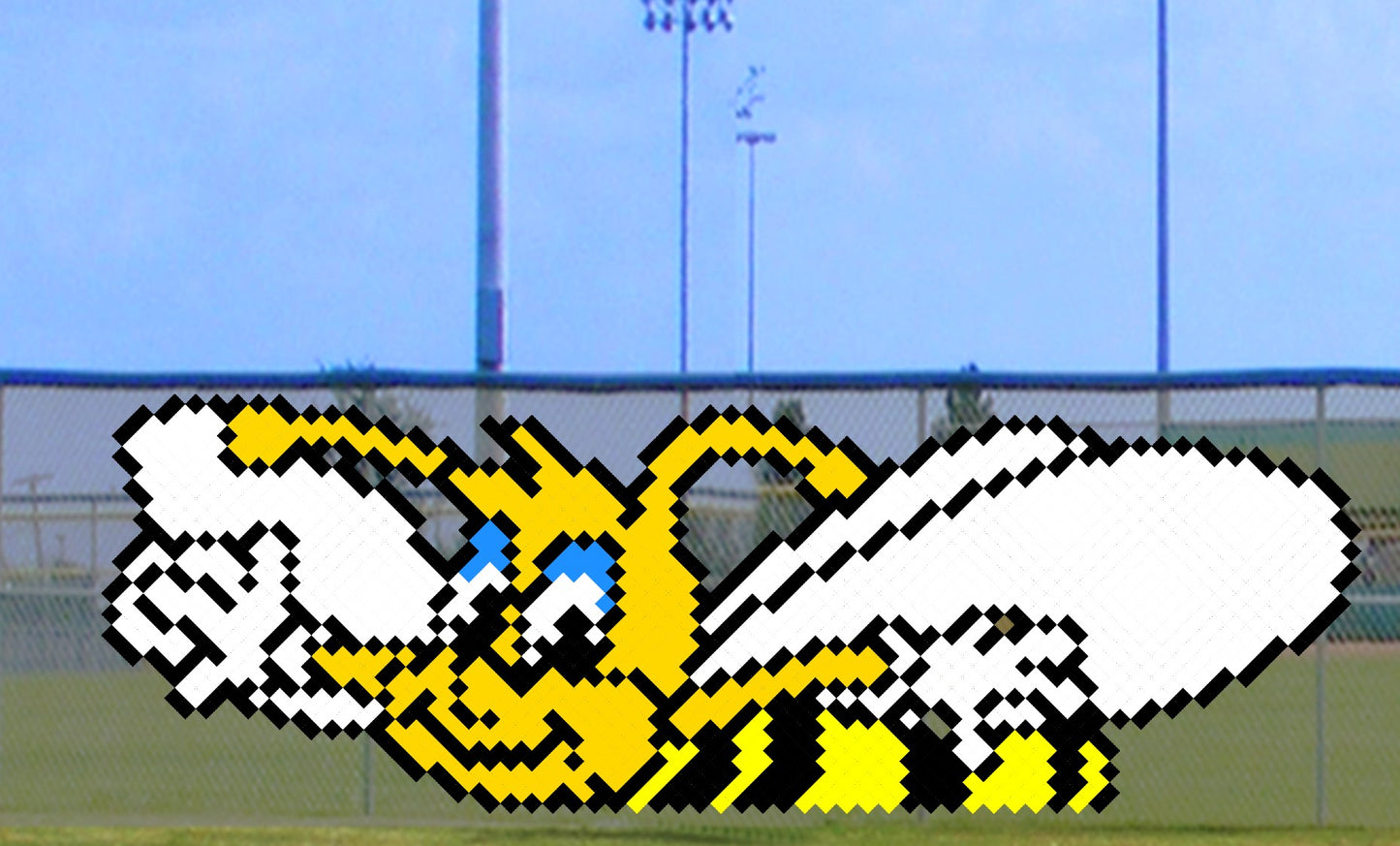 6' x 15' Bubble Bee