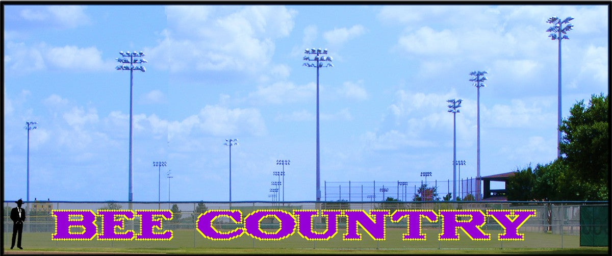 4' x 50' Bee Country - 2 Colors