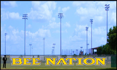 4' x 38' Bee Nation - 3 Colors