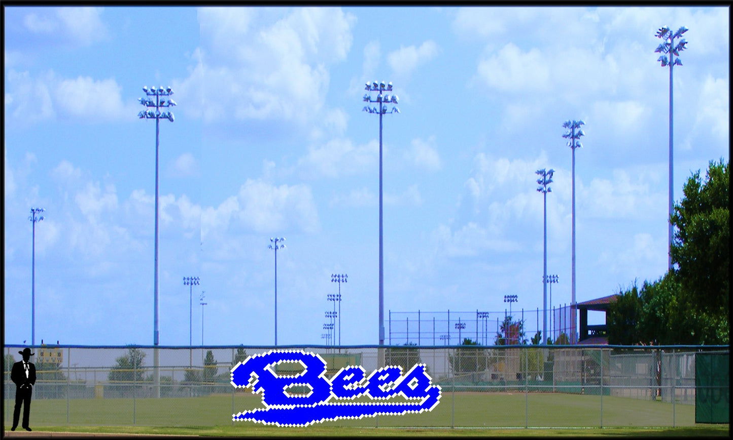 6' x 12' Bee Letters