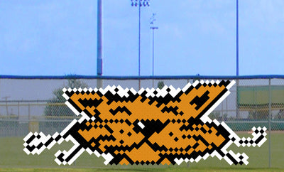 5' x 10' Smiling Cub