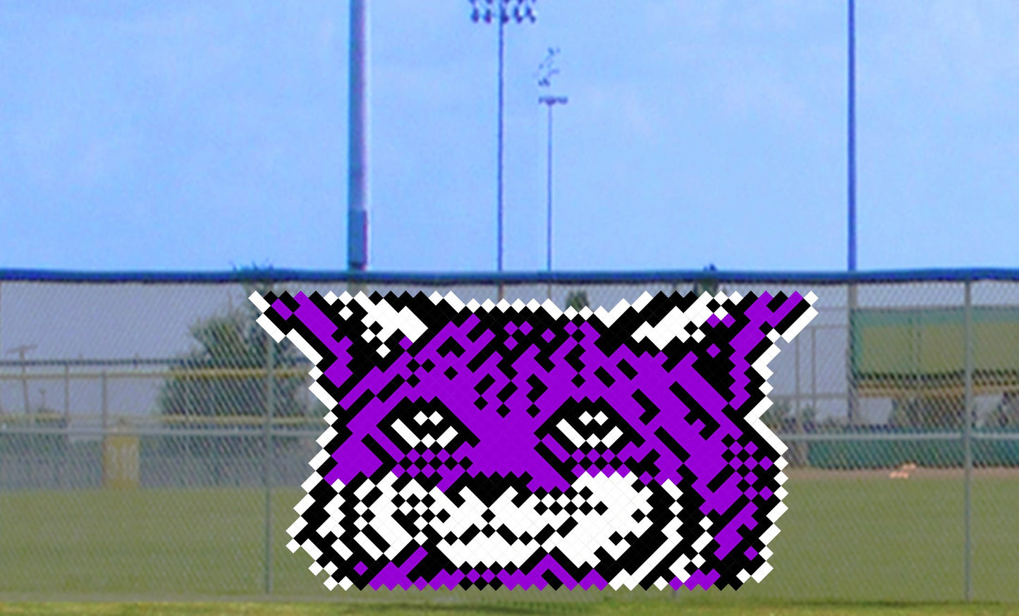 6' x 10' Cute Bobcat