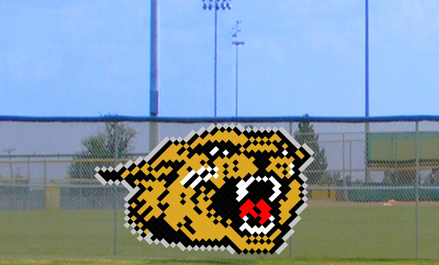 6' x 9' Growling Cat with Outline
