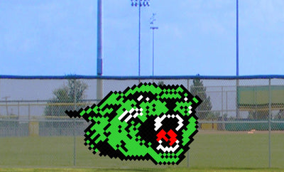 6' x 9' Growling Cat