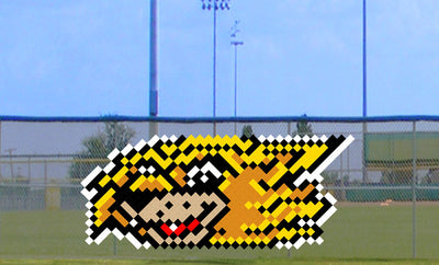 4' x 9' Happy Cat - 3 colors