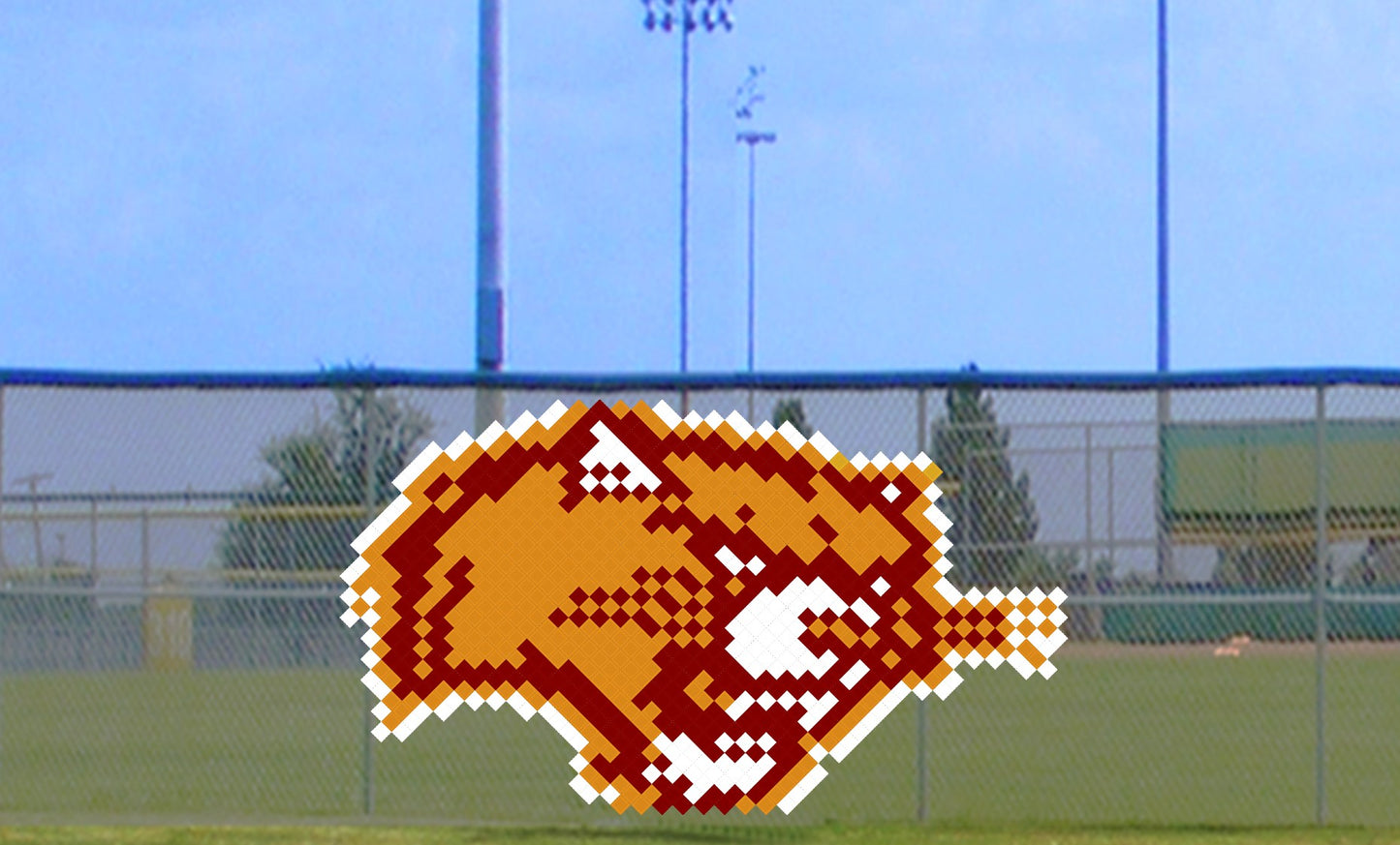 6' Growling Bobcat/Wildcat