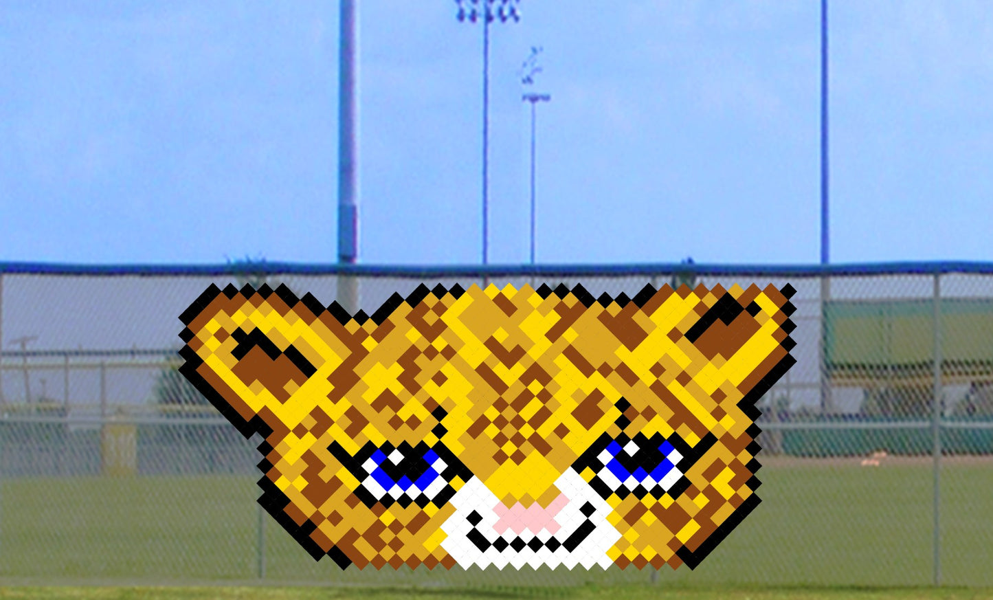5' x 8' Cute Cub