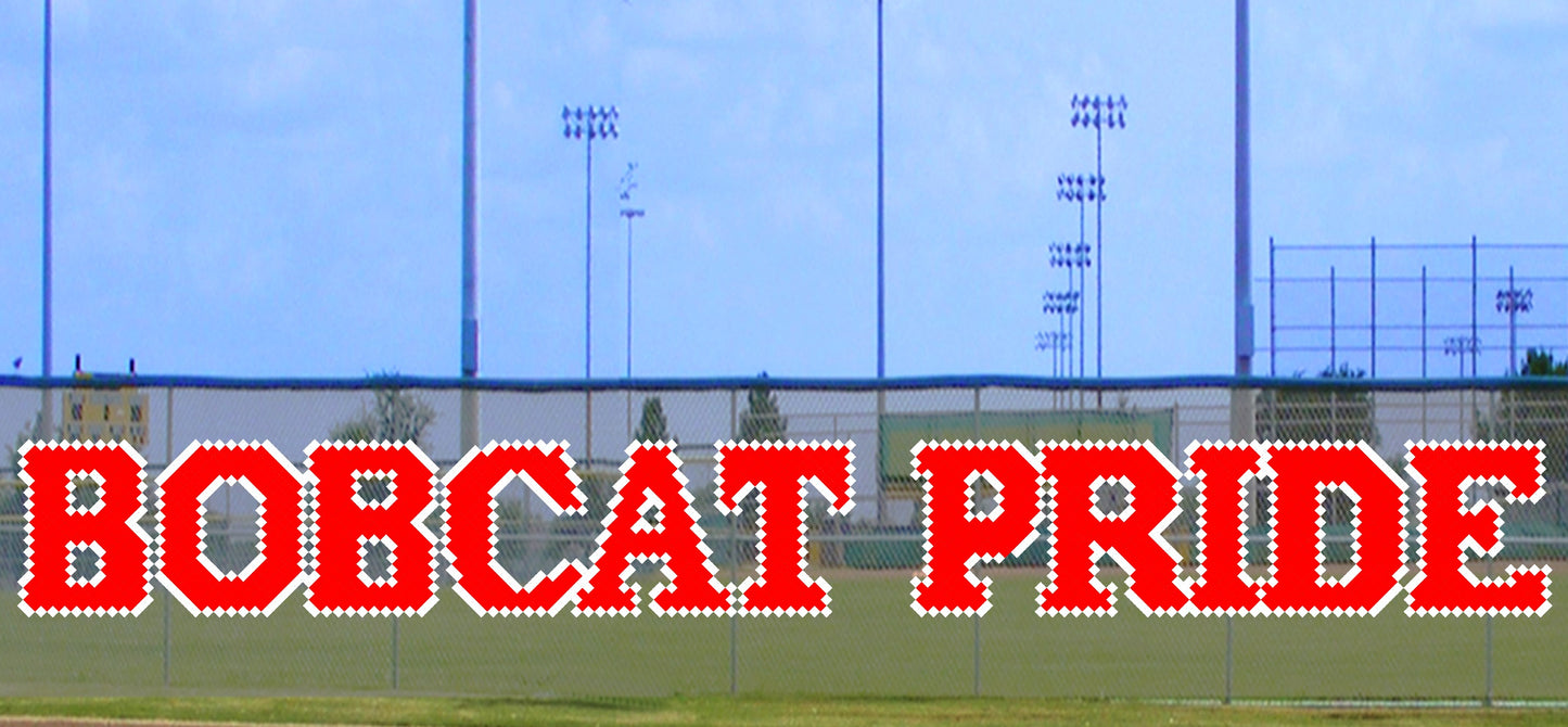 5' x 29' Bobcat Pride
