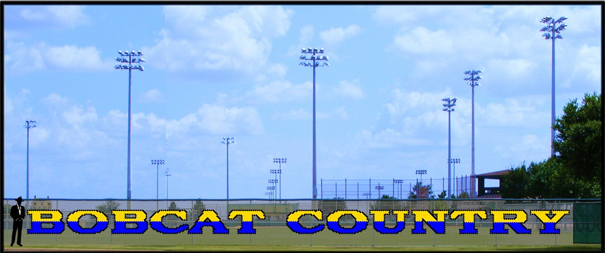 4' x 80' Bobcat Country - 2 Tone