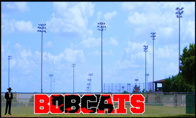 5' x 23' Bobcats with Silhouette