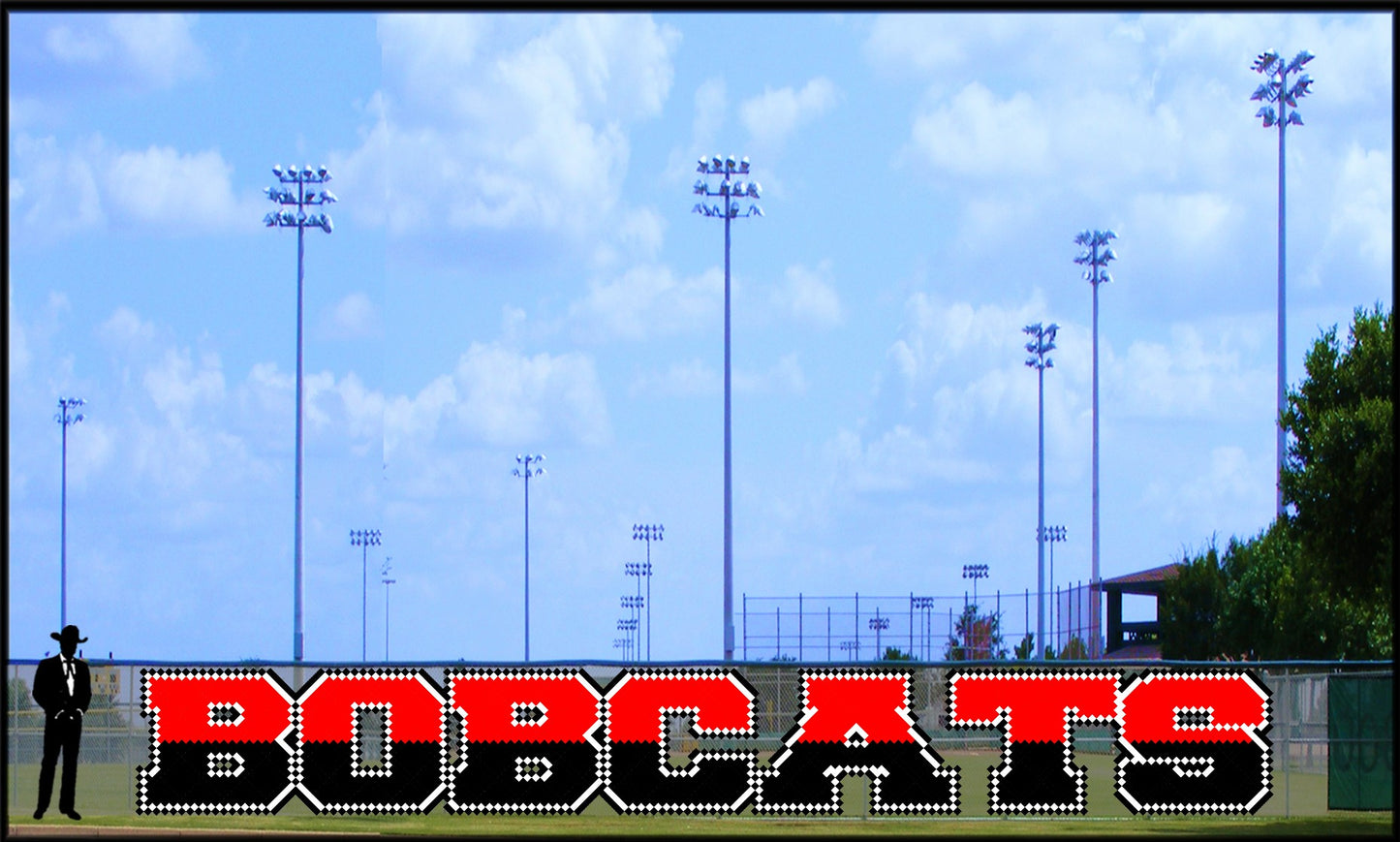 5' x 38' Two-Tone Bobcats