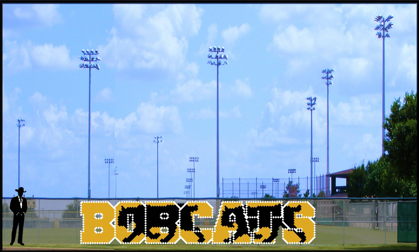 5' x 25' Double Silhouette Bobcats