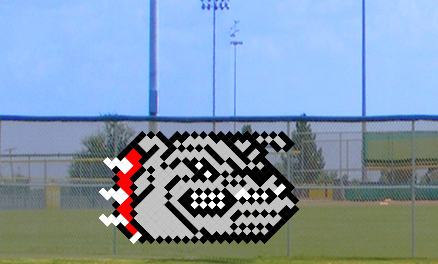 4' Bulldog Head with Collar