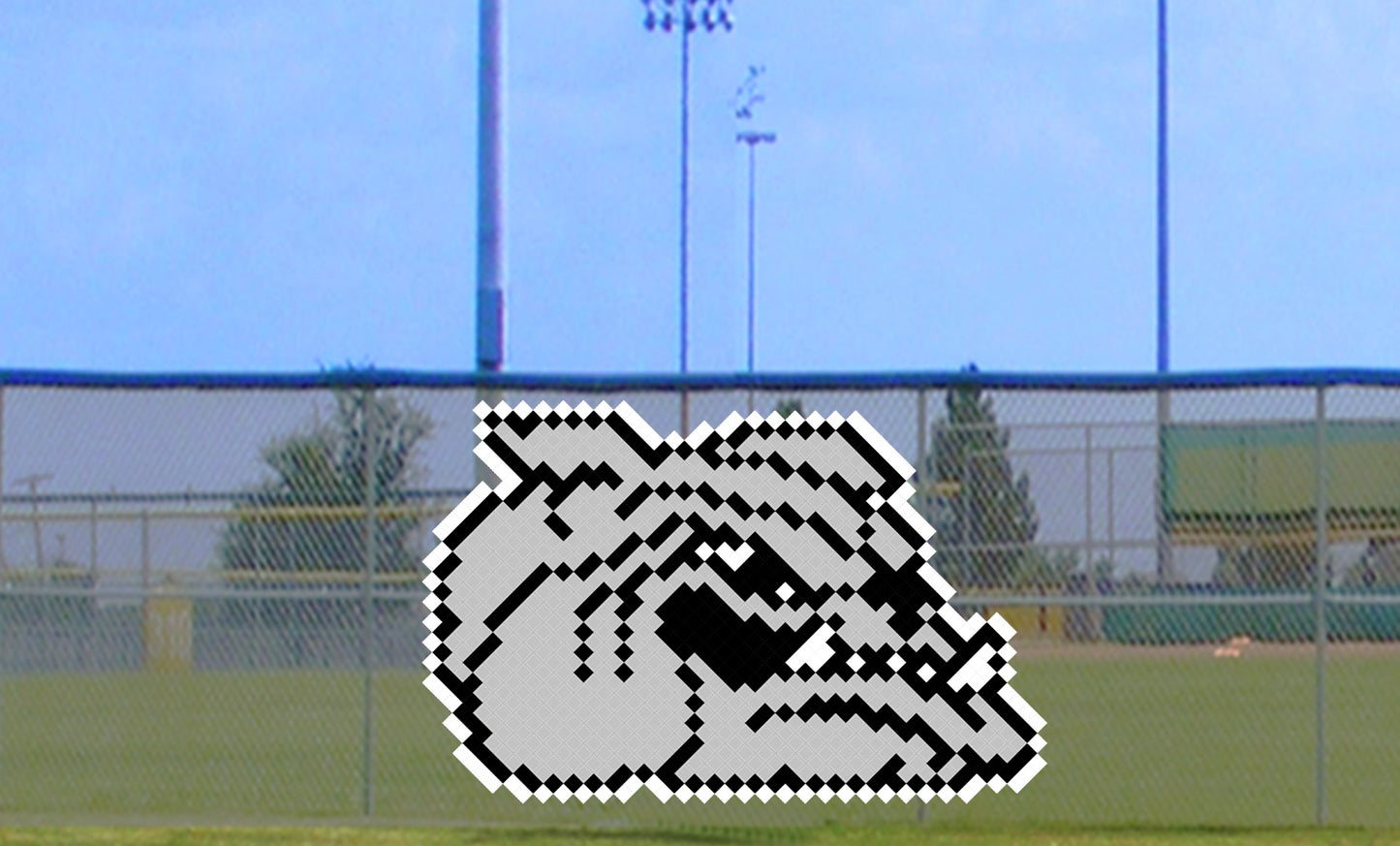 6' x 8' Mean Bulldog