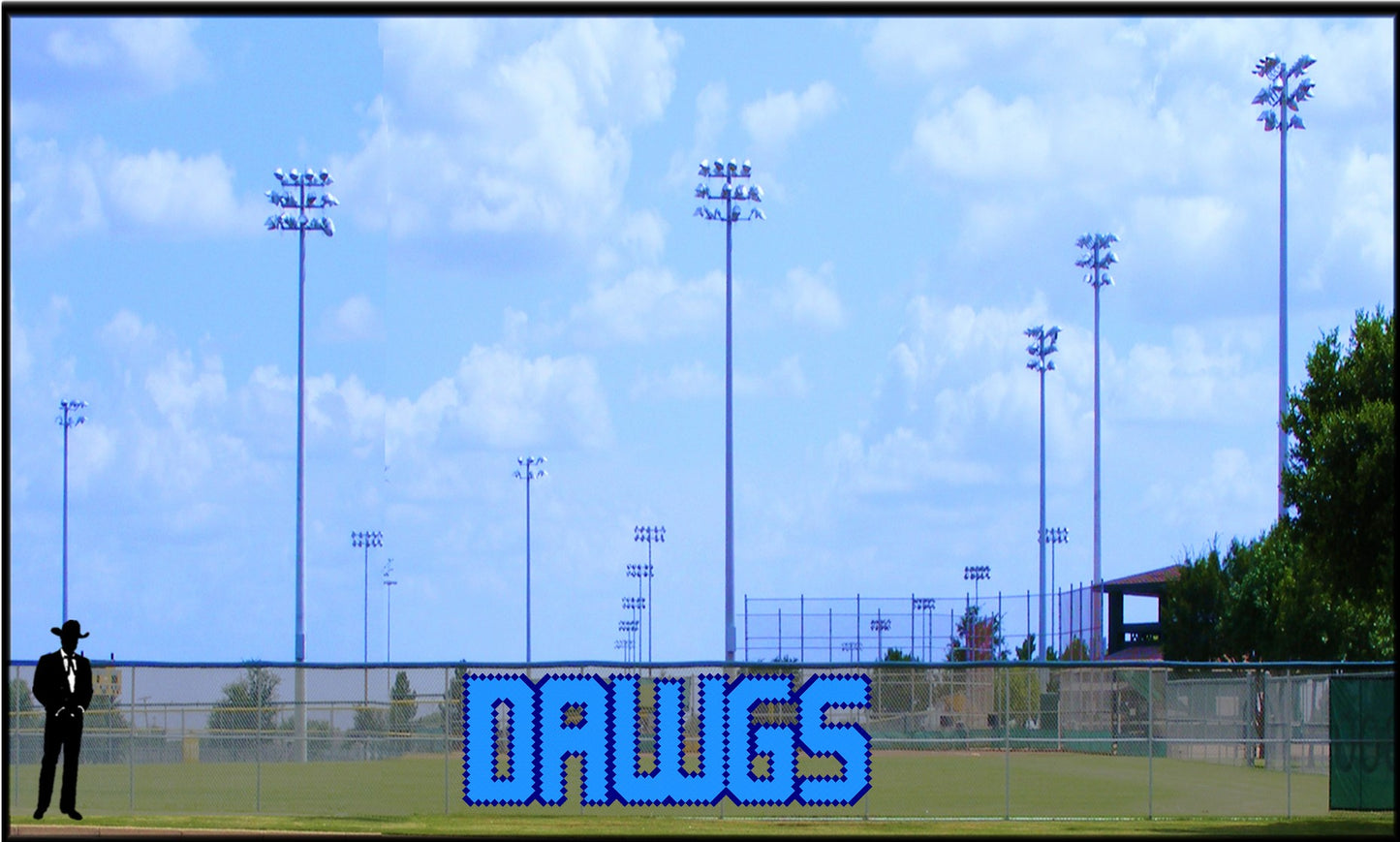 4.5' x 12 Dawgs Letters