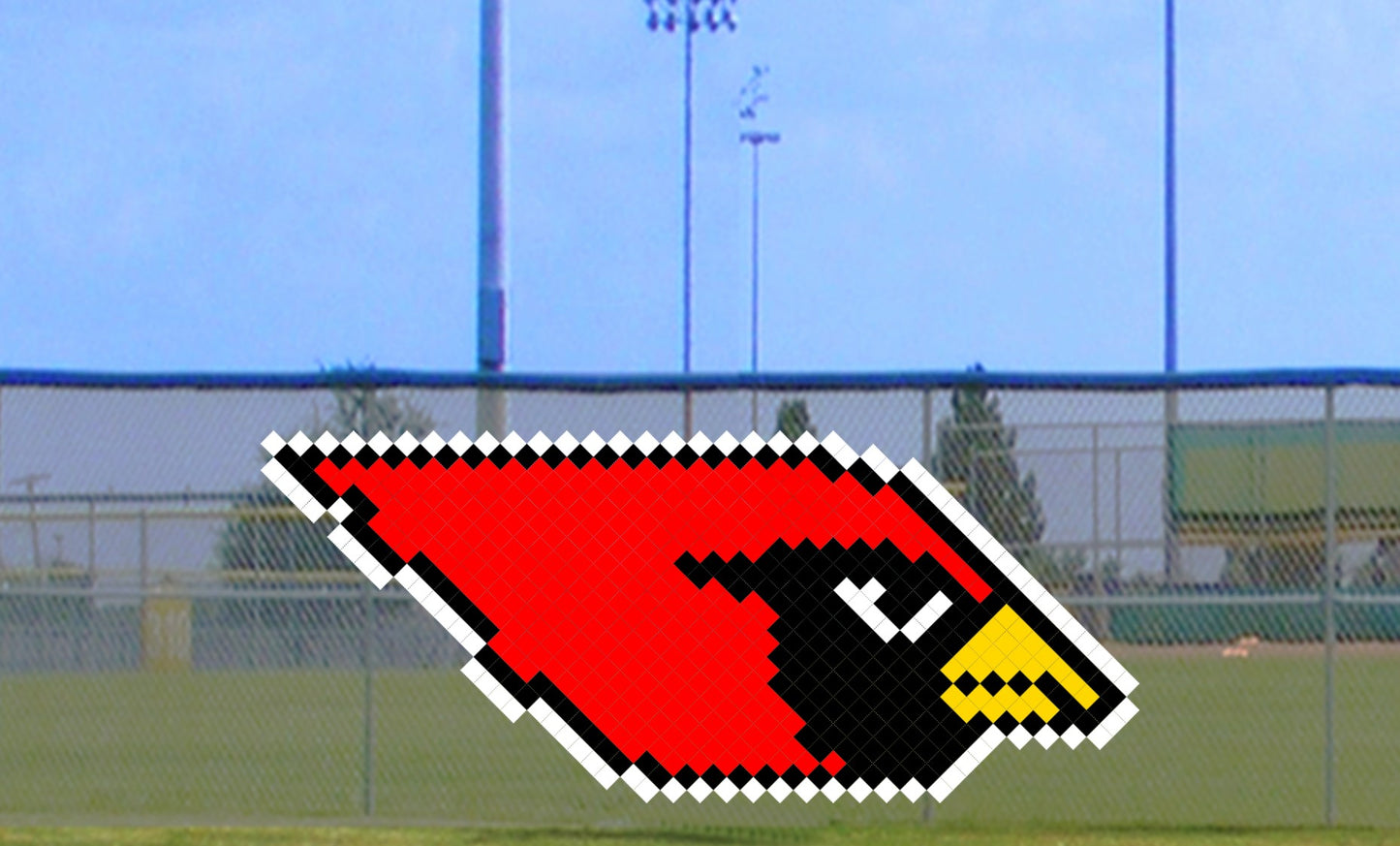 4' x 9' Cardinal Head