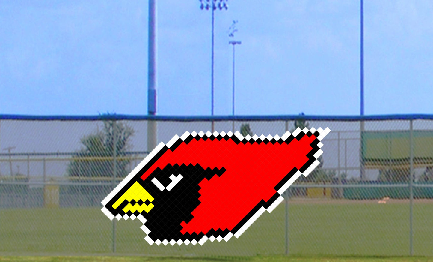 5' x 8' Cardinal Head
