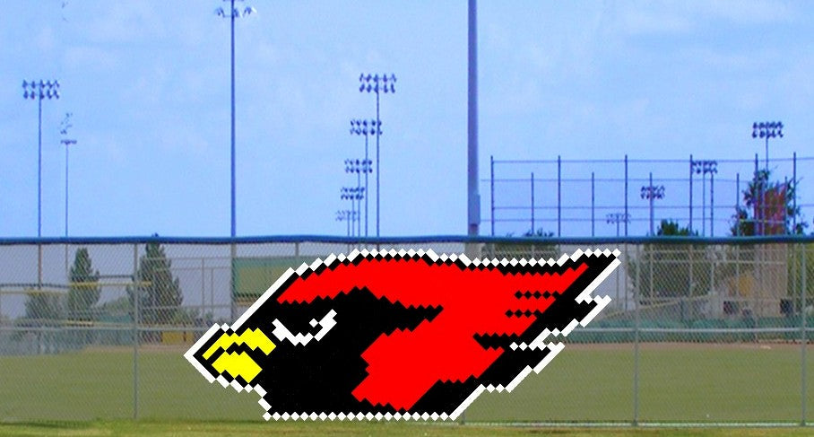 6' x 11' Cardinal