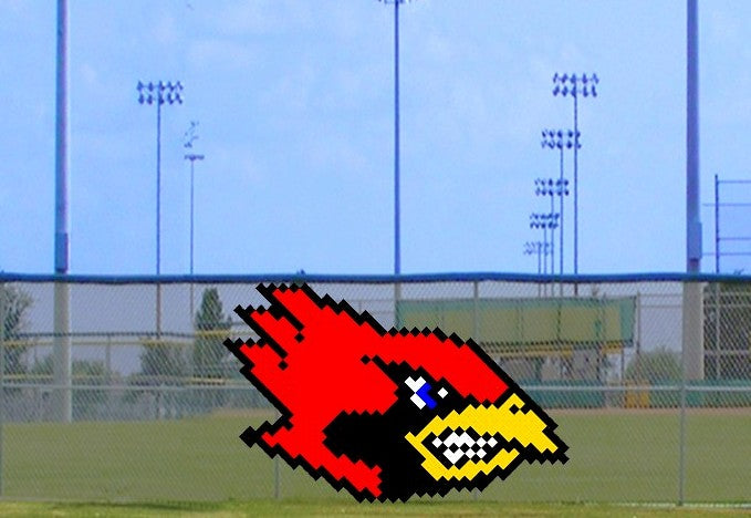 6' x 8' Growling Cardinal Head