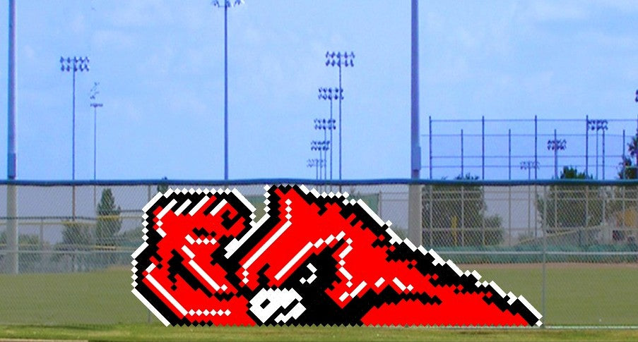 6' x 14' Fighting Cardinal
