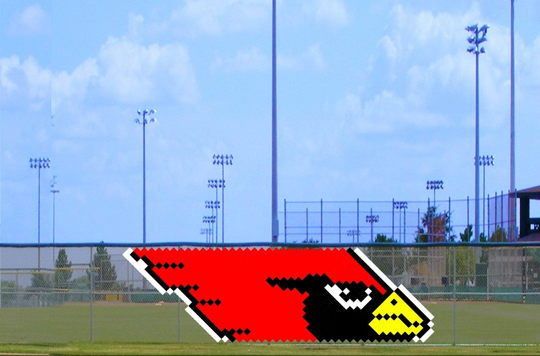 4' x 9' Cardinal