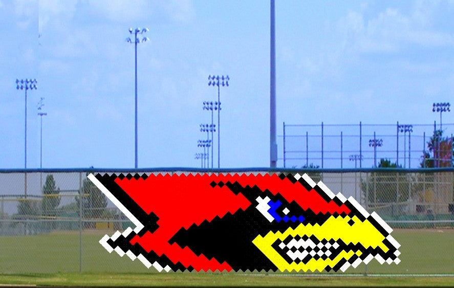 4' x 10' Growling Cardinal