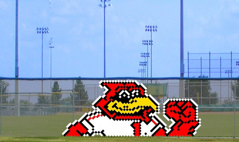 6' x 10' Spirited Cardinal