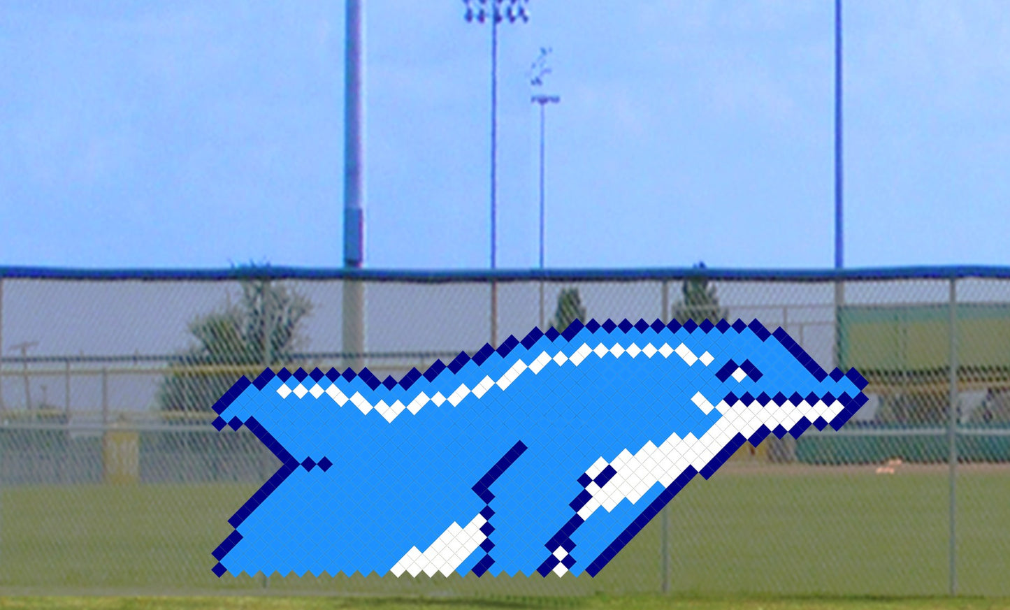 5' x 11' Dolphin