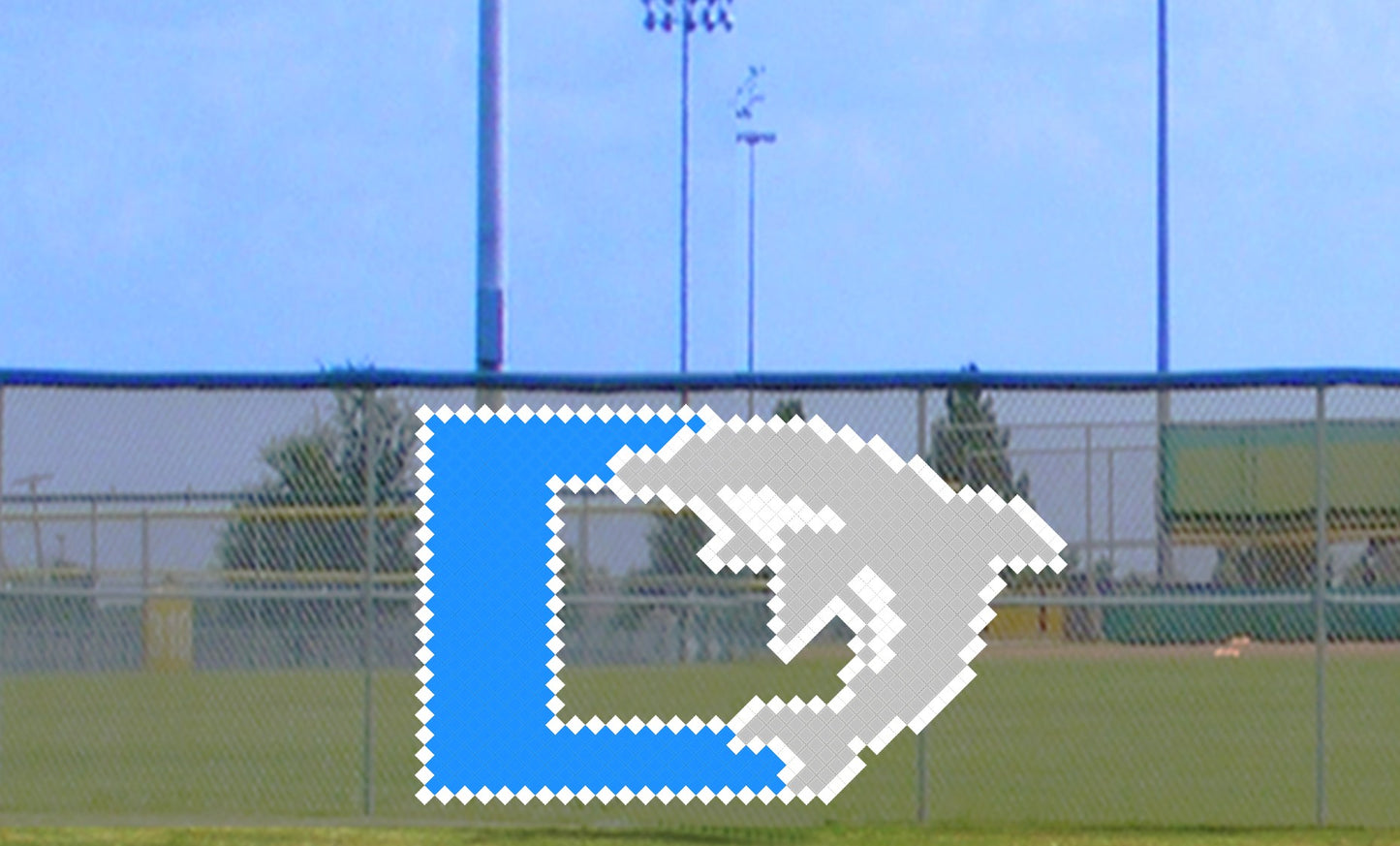6' x 9' Letter D with Dolphin
