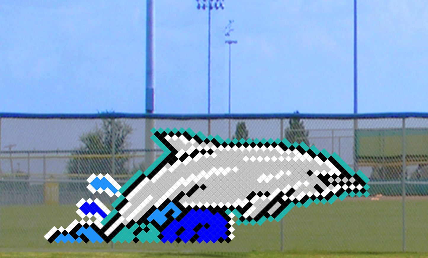 5' x 11' Splashing Dolphin