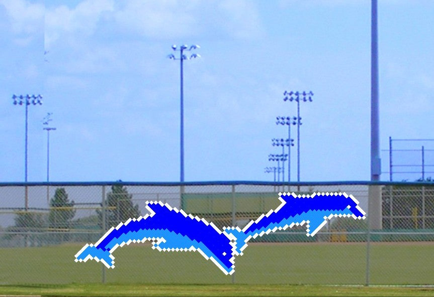 6' Jumping Dolphins Set of 2