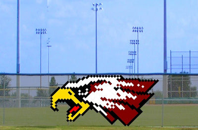 6' x 9' Two-Tone Eagle Head