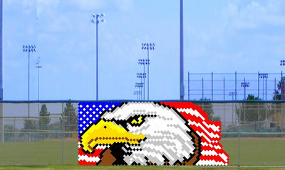 6' x 10' Eagle with Waving Flag