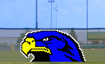 6' x 9' Mean Eagle/Hawk/Falcon
