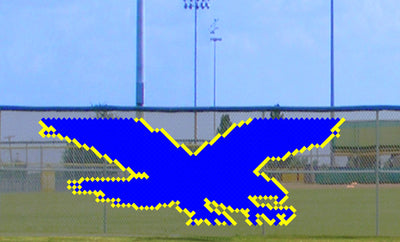 6' x 15' Flying Eagle/Hawk