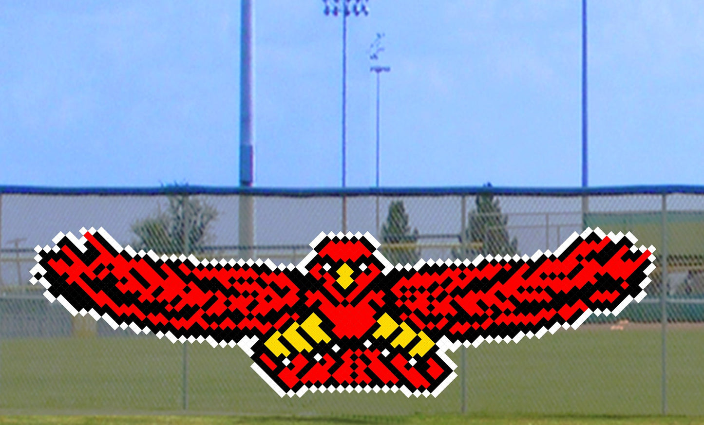 6' x 18' Front Flying Eagle/Hawk