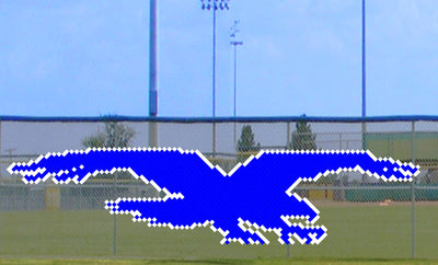 6' x 20' Flying Royal Eagle/Hawk