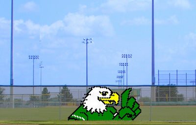 6' x 10' Eagle/Hawk #1