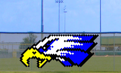 4' x 9' Two-Tone Eagle Head