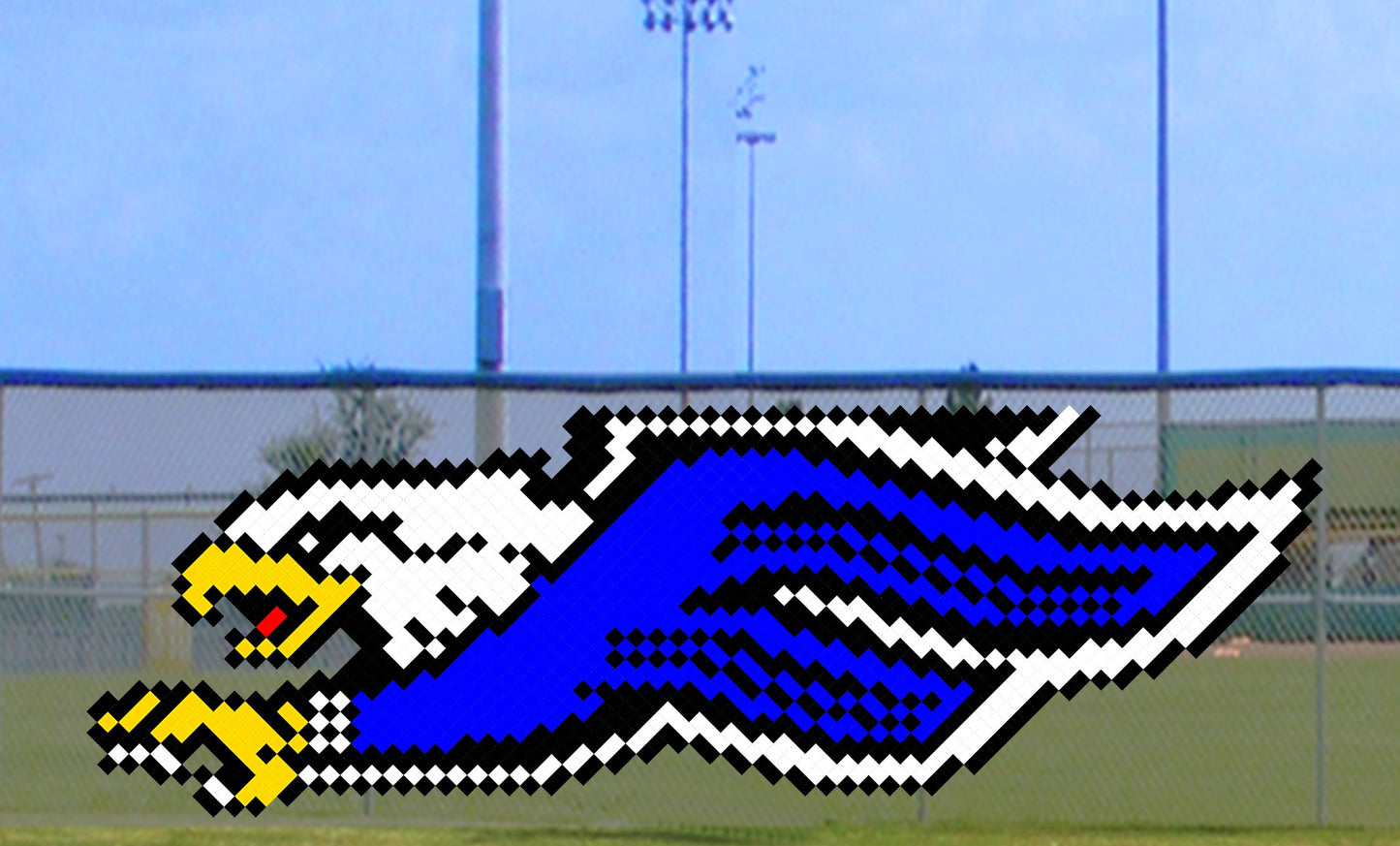 6' x 13' Side Flying Eagle