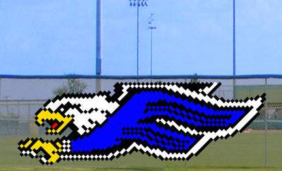 6' x 13' Side Flying Eagle