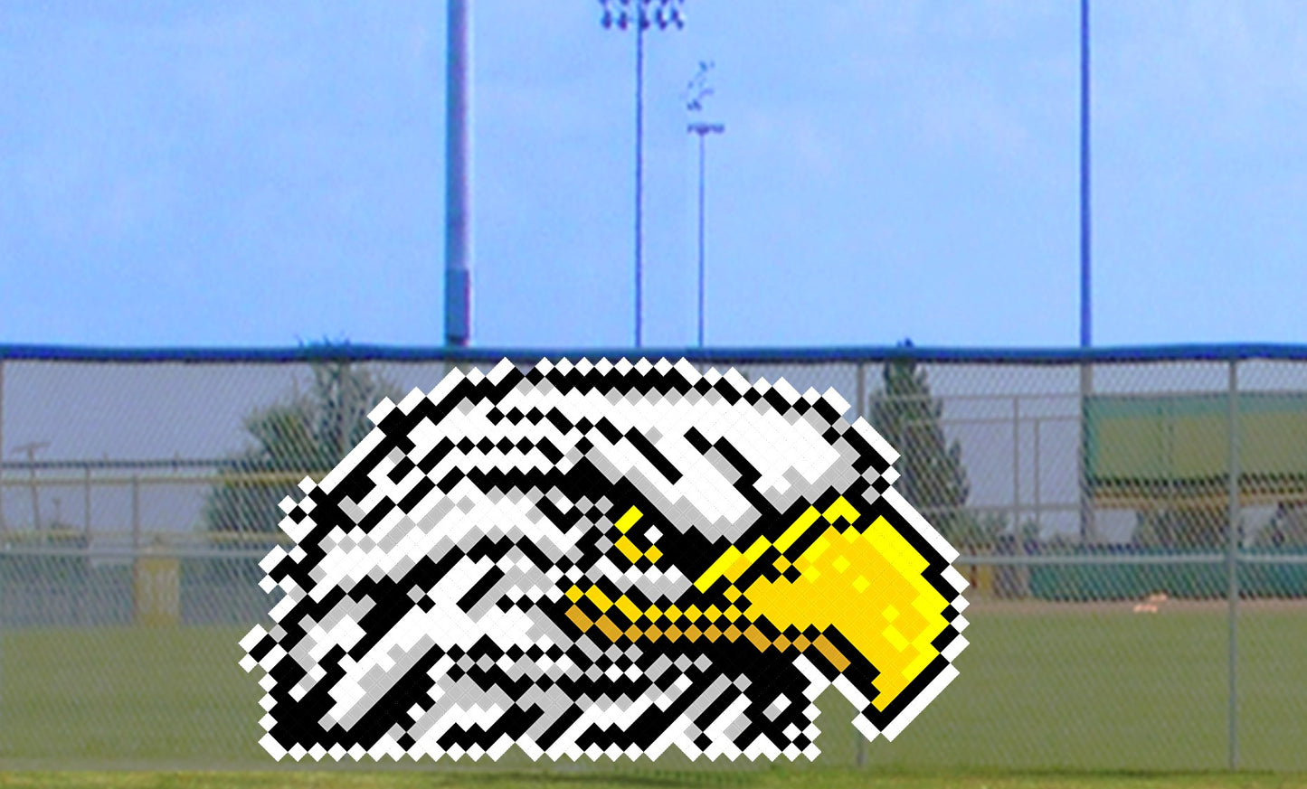 6' x 9' Majestic Eagle Head