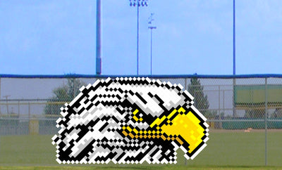 6' x 9' Majestic Eagle Head