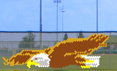 5' x 12' Soaring Eagle