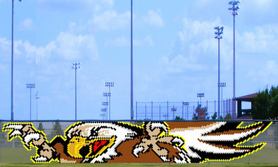 6' x 34' Large Clawing Eagle