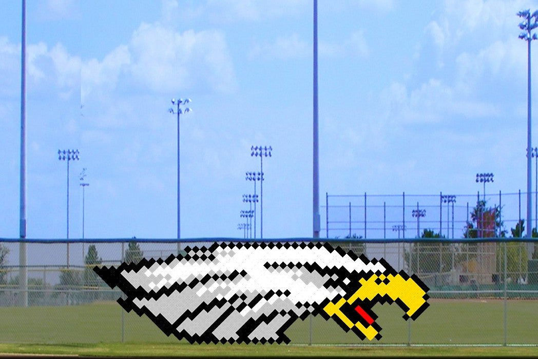 4' x 11' Eagle
