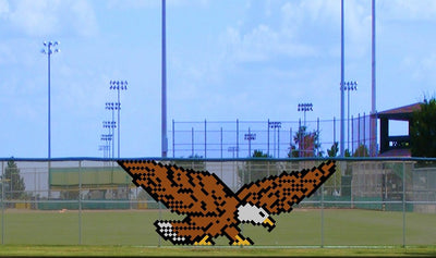 6' x 12' Standing Eagle