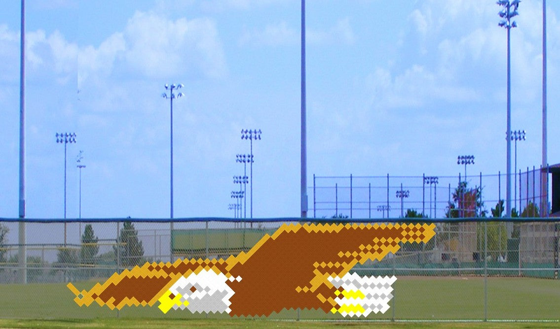 4' x 11' Flying Eagle